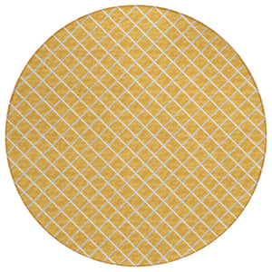 York YO1 Gold Rug - Baconco