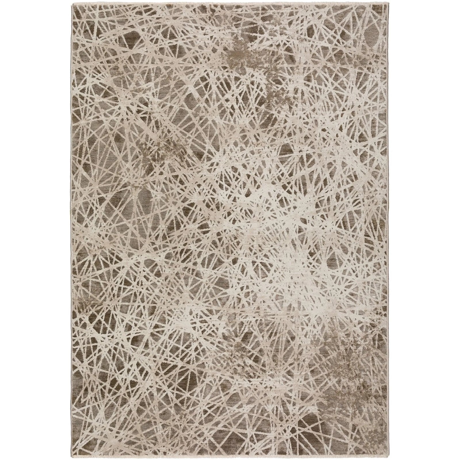 Denizi DZ4 Taupe Rug - Baconco