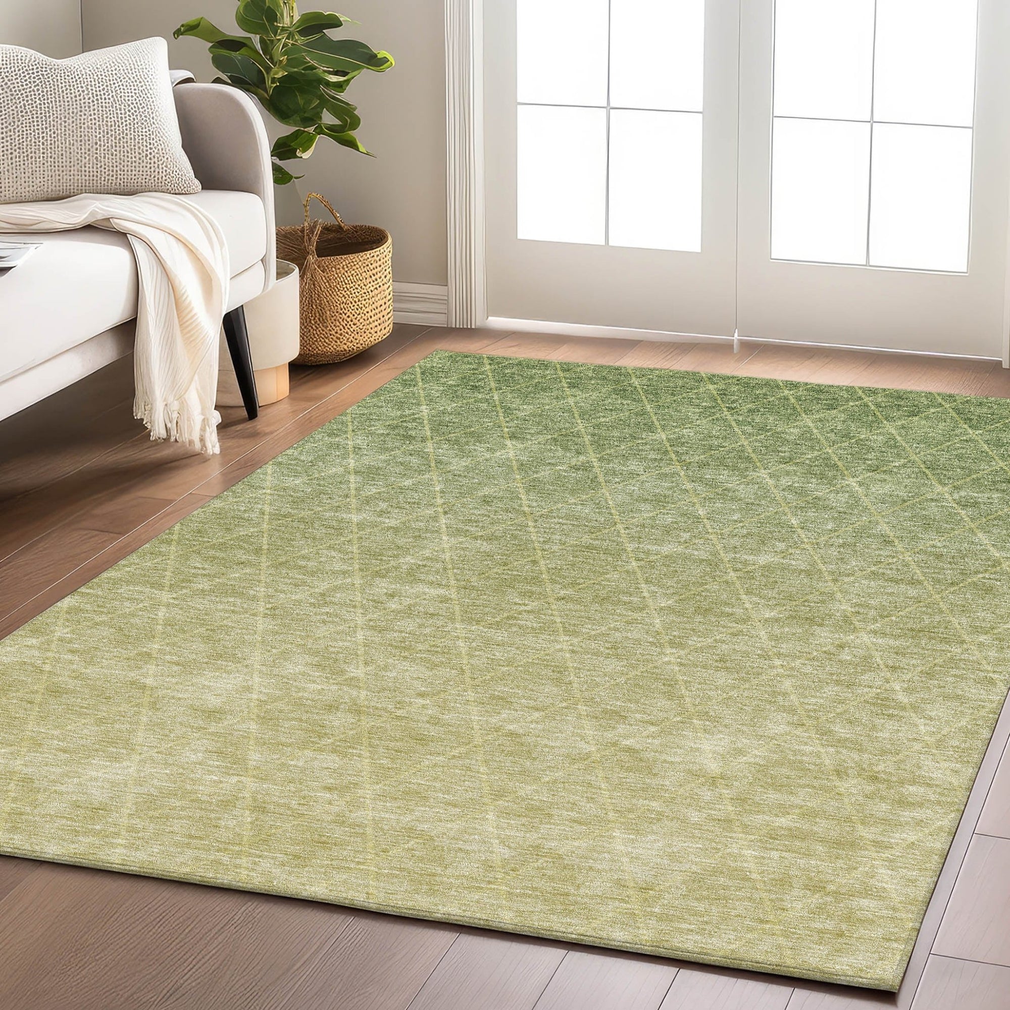 Lazio LZ2 Aloe Rug - Baconco