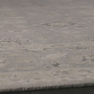 Biscayne BS18 Grey/Beige Rug