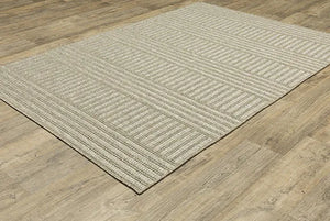 Tortuga TR02A Beige Rug