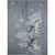 Wonderland WN2 Grey Rug - Baconco