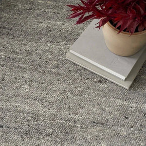 Alanna ALN01 Grey Rug - Baconco