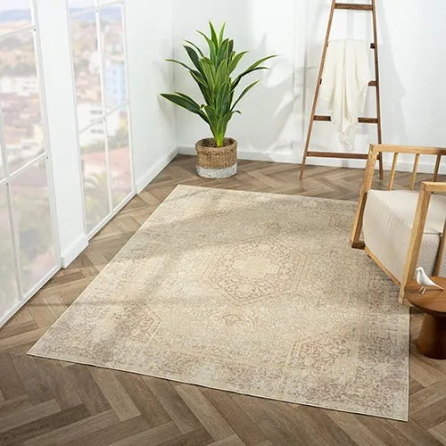 Aria 82421BEI Beige Rug - Baconco