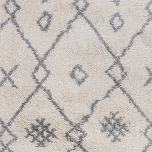 Aspen ASP-6 Ivory/Grey Rug - Baconco