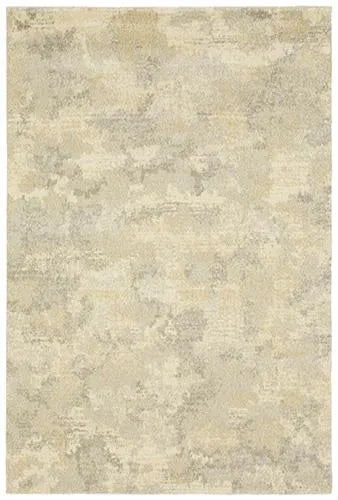 Astor 2268J Beige/Grey Rug - Baconco