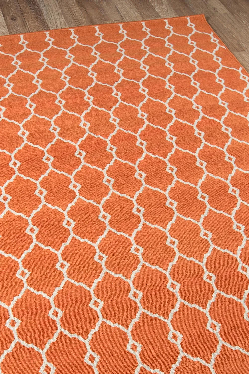 Baja BAJ 2 Orange Rug - Baconco