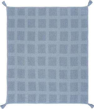 Charming Light Blue LR80160 Throw Blanket - Baconco