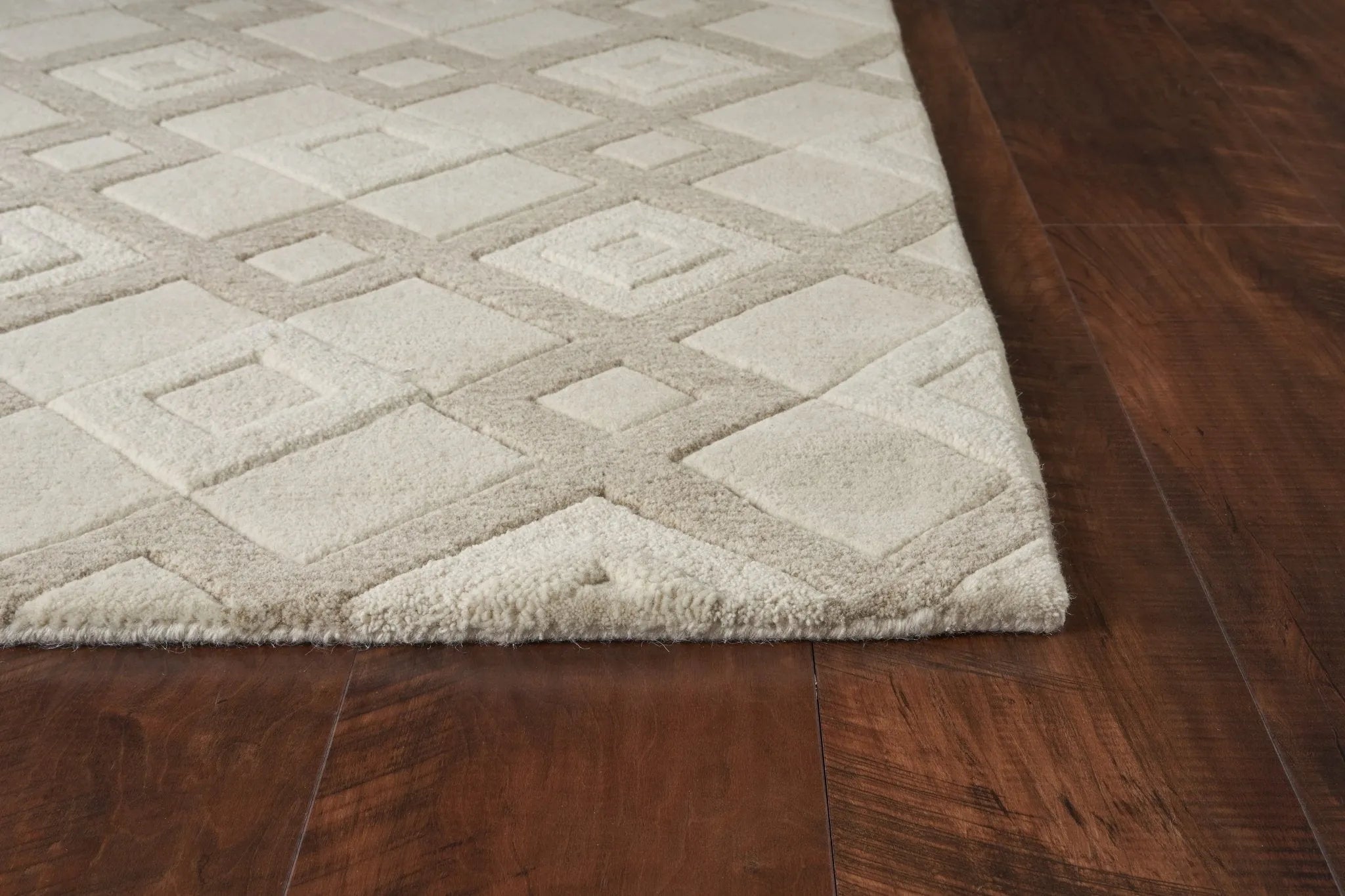 Eternity 1055 Vista Ivory Rug - Baconco