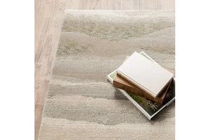 Evolution 982C Beige/Ivory Rug - Baconco