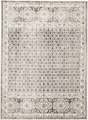 Kano 3874F Ivory/Gray Rug - Baconco