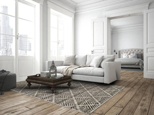 Katari 3380F Gray/Ivory Rug - Baconco