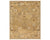 Neveah NEV01 Gold/Brown Rug - Baconco