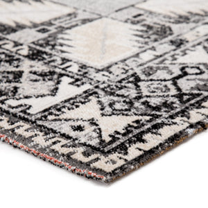 Polaris POL20 Paloma Gray/Beige Rug - Baconco