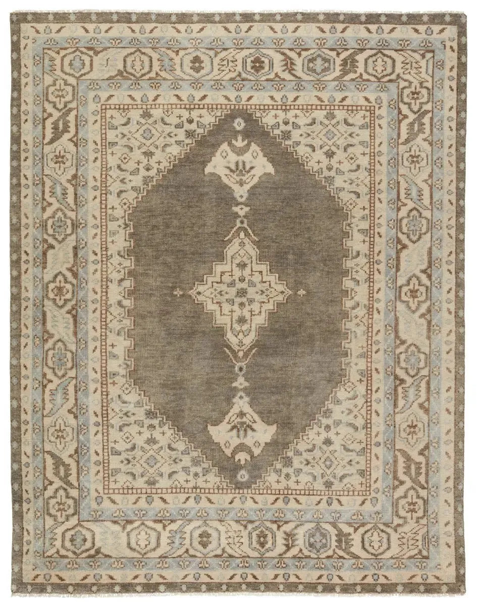 Salinas SLN06 Light Brown Rug - Baconco