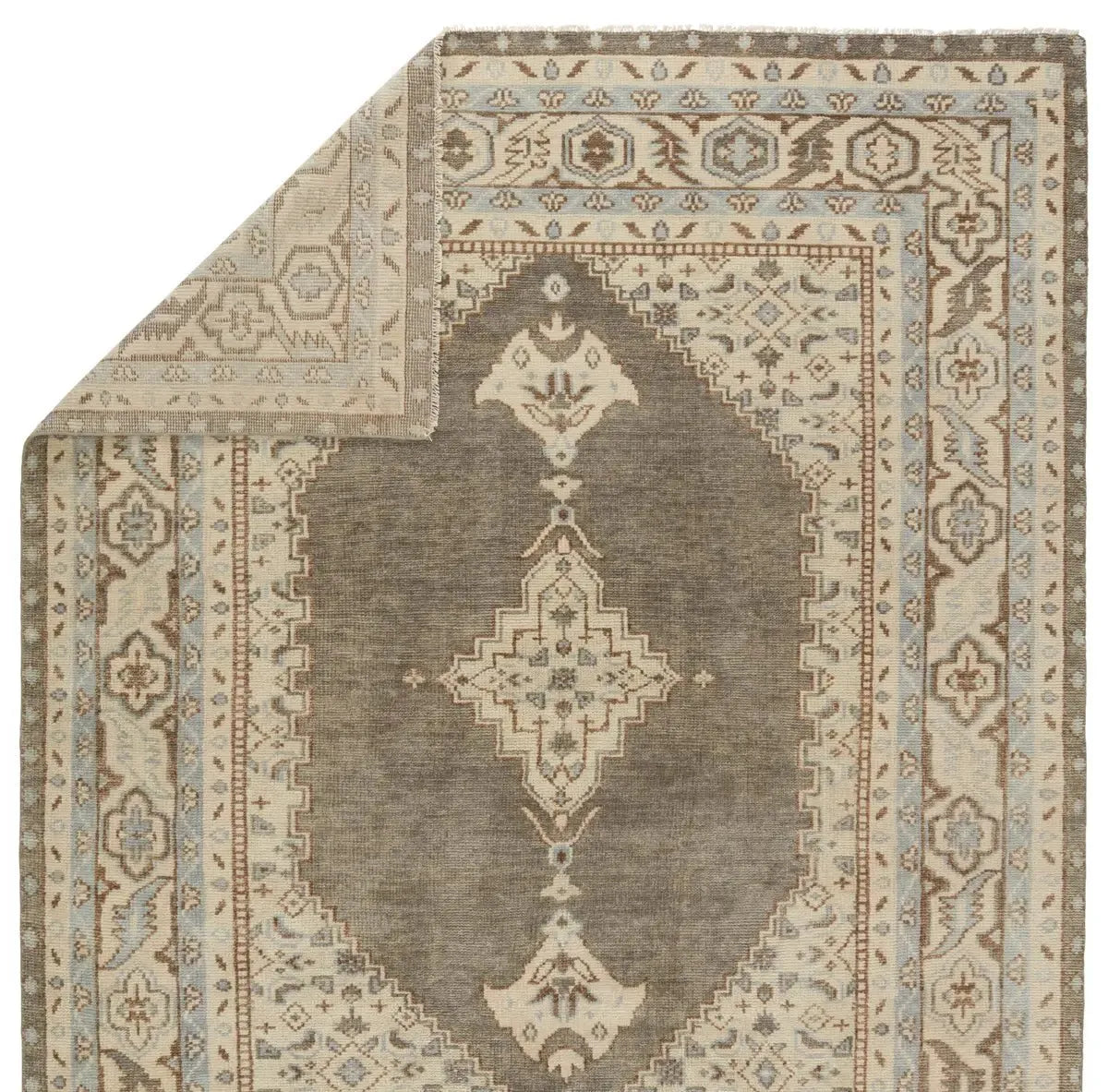 Salinas SLN06 Light Brown Rug - Baconco