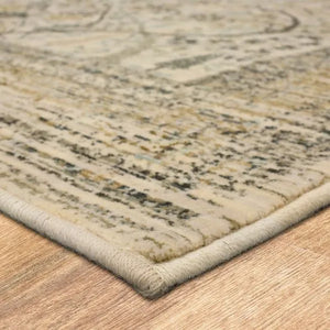 Titanium 39400 16012 Sans Pareil Ivory Rug - Baconco