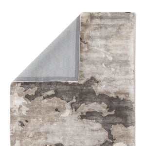 Transcend TRD01 Glacier Gray / Silver Rug - Baconco